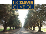 Olive oil laboratory testing