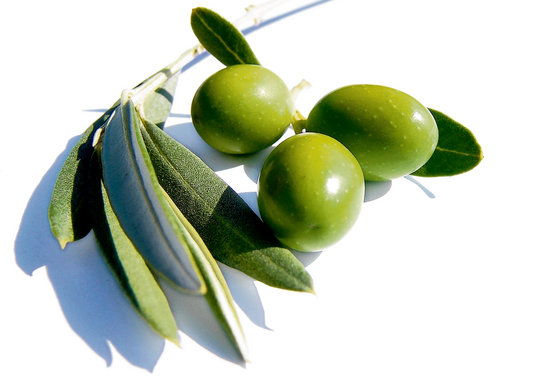 Wrinkled black Throuba Thassos olives in a wooden bowl