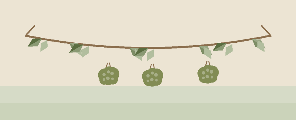 Blanqueta Olives illustration