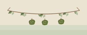 Bosana Olives illustration