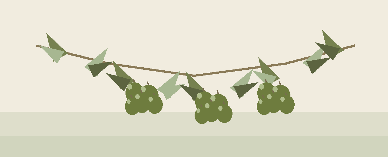 Hojiblanca olives — illustration