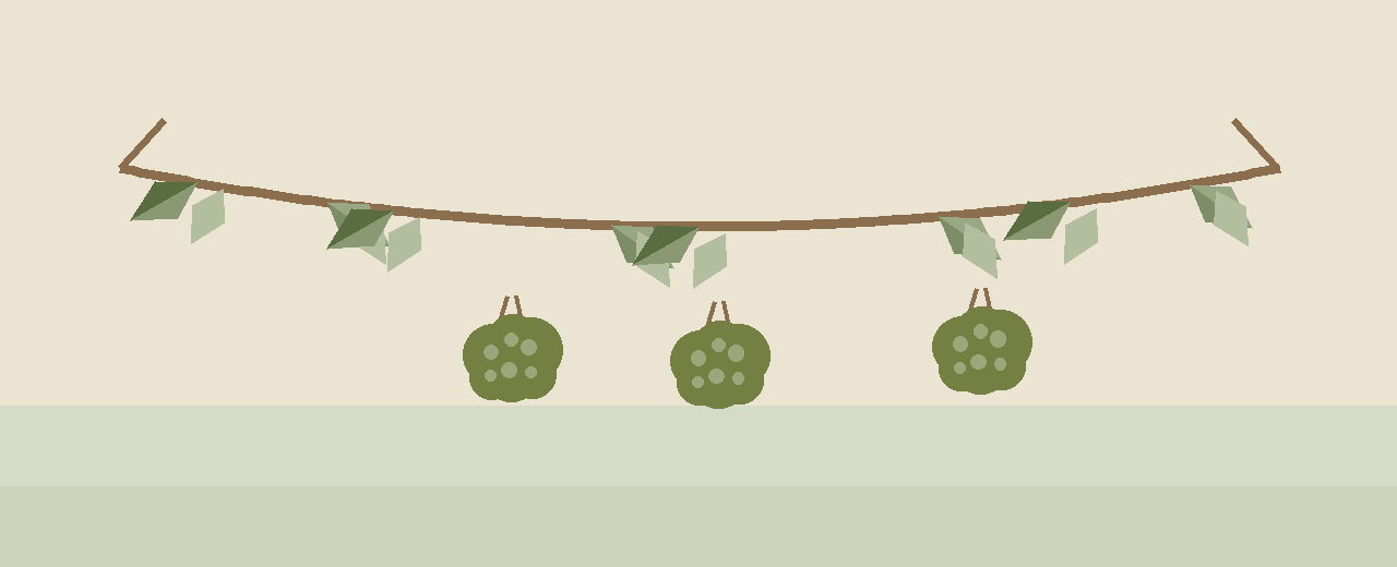 Picudo Olives — illustration