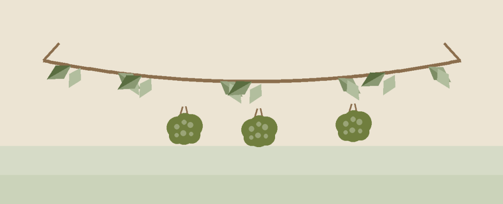 Verdeal Transmontana Olives illustration