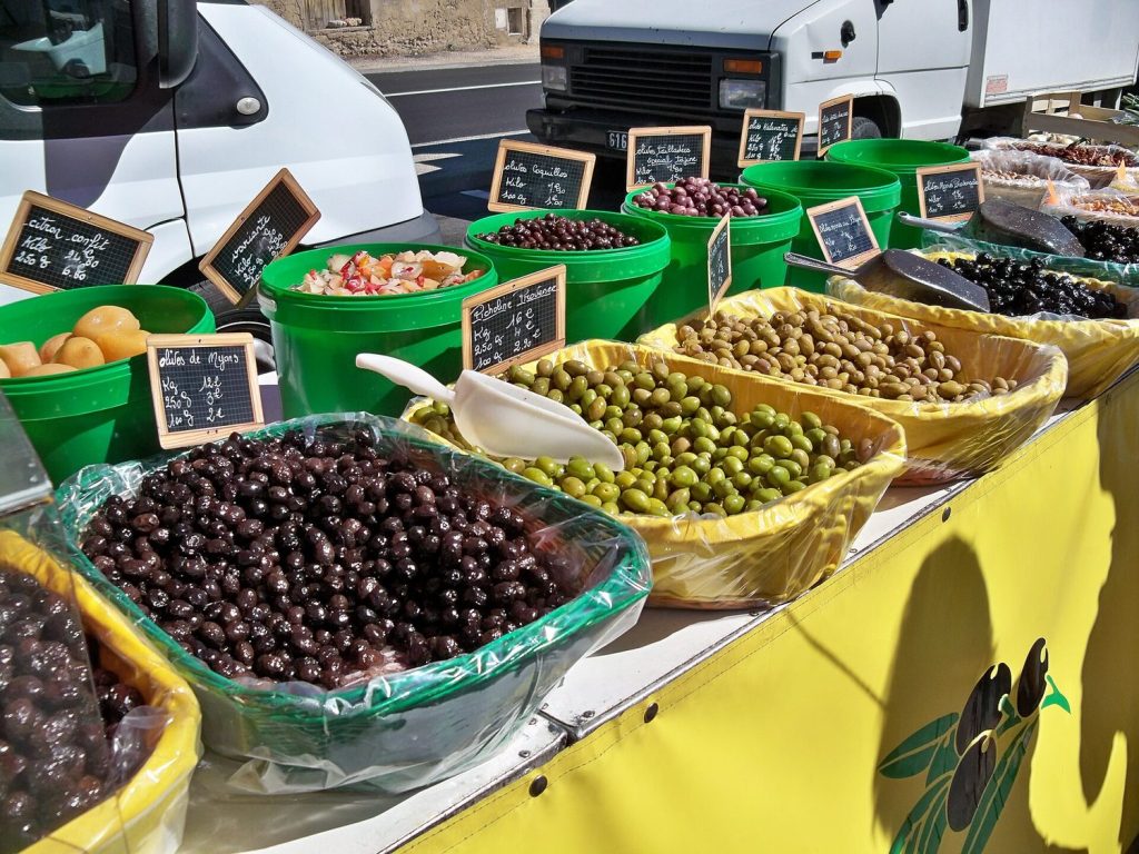 Picholine olives on the branch