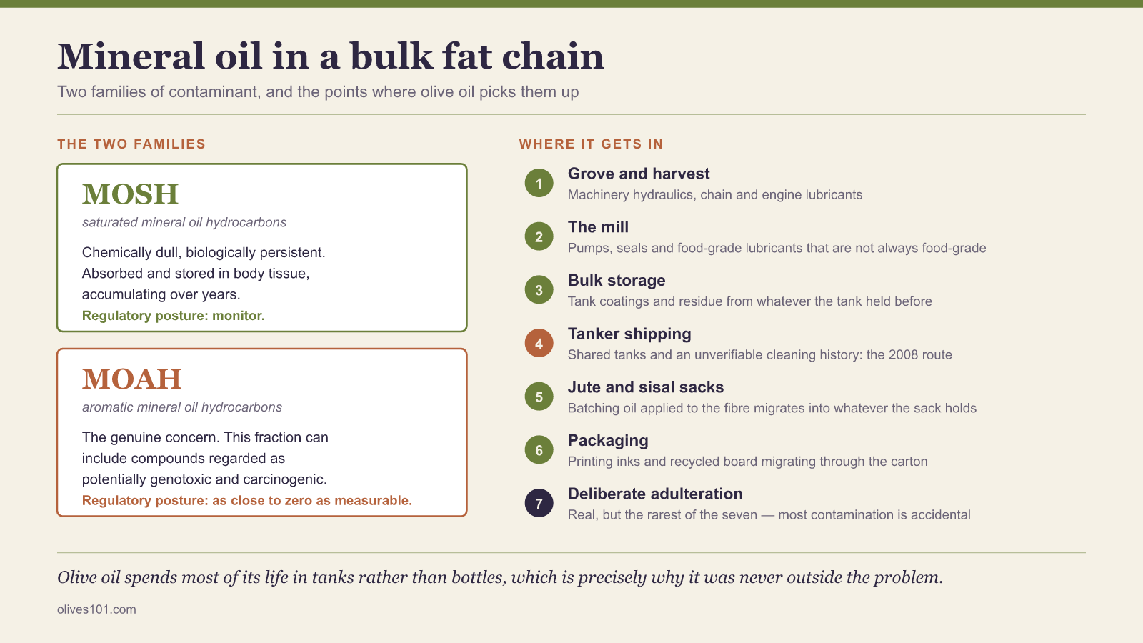 Diagram contrasting MOSH and MOAH mineral oil hydrocarbons and listing seven points where they enter the olive oil supply chain, from grove machinery to packaging.