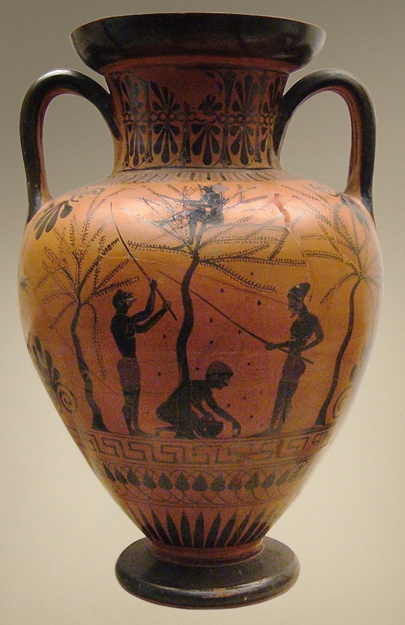 An ancient Greek black-figure amphora painted with men beating an olive tree with poles while a youth gathers the fallen fruit.