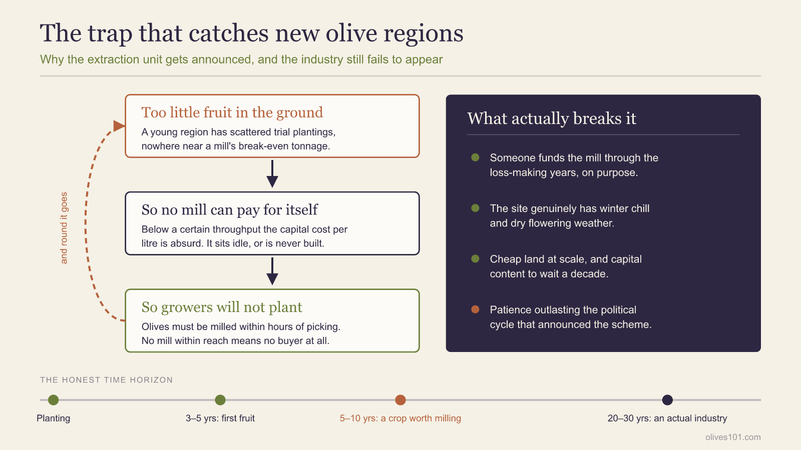 Diagram of the self-reinforcing loop that stalls new olive regions: too little fruit, so no mill can pay for itself, so growers will not plant, alongside a timeline running from planting to a working industry over twenty to thirty years.