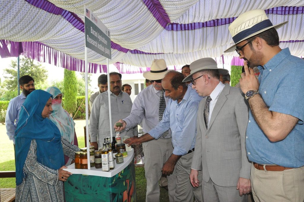 Officials at an outdoor stand inspecting jars of olives and bottles of olive oil at a Pakistani olive-sector event under a decorated marquee.