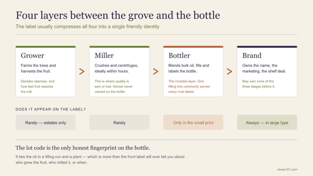 Diagram of the four layers of the olive oil supply chain — grower, miller, bottler and brand — showing which of them ever appear on the label.