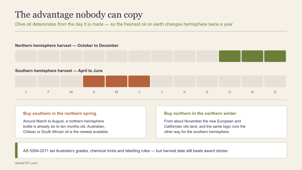 Calendar comparing the northern hemisphere olive harvest from October to December with the southern hemisphere harvest from April to June.