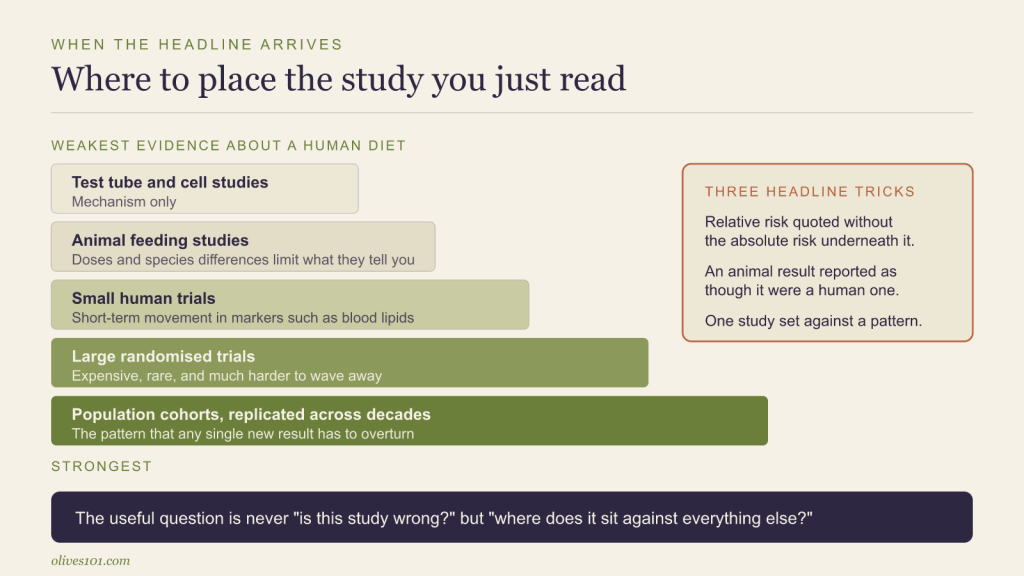 A ladder of evidence running from test-tube studies up to replicated population cohorts, alongside three common headline tricks.