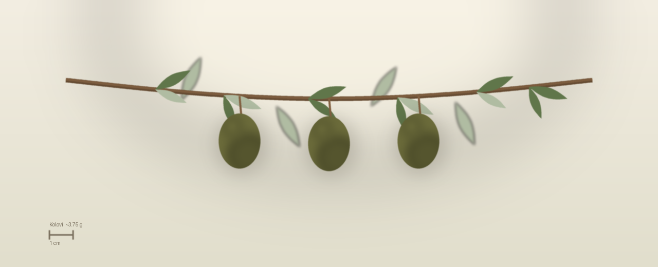 Drawing of Kolovi olives to scale, about 3.75 grams, ovoid, green flushing purple, picked from November long before full ripeness at harvest.