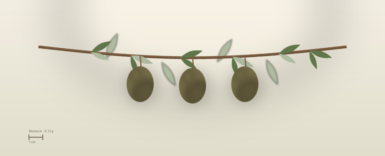 Drawing of Memecik olives to scale, about 5.12 grams, ovoid, green turning pink-purple at harvest.